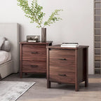 Olimont Faux Wood 2 Drawer Nightstands (Set of 2) by 