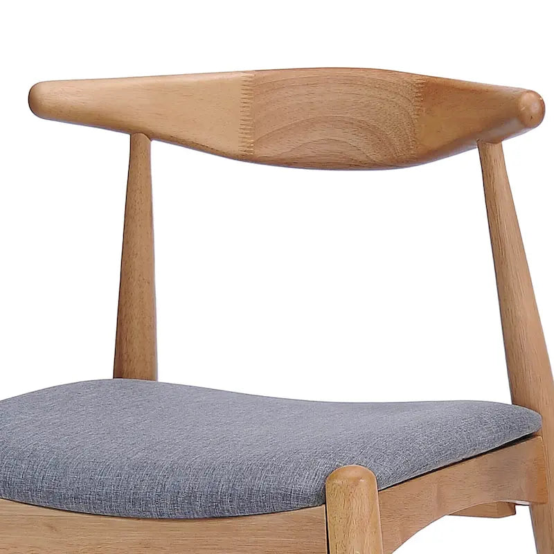 Mid-Century Modern Dining Chairs (Set of 2)