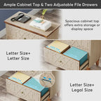 2 Drawer Lateral File Cabinet, Office Filing Cabinet for A4 / Letter Size/Legal Size Files