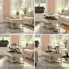Lift Top Coffee Table Desk with Storage
