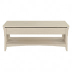 Lift Top Coffee Table Desk with Storage